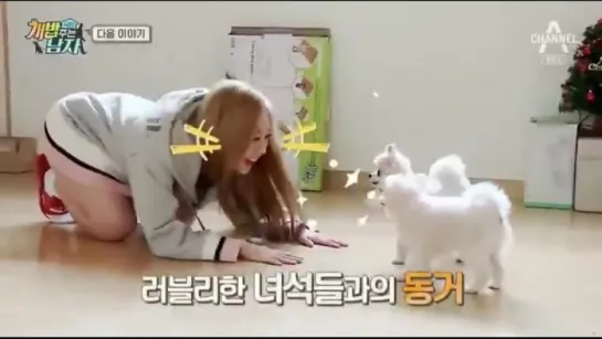 180128 | Lovelyz - A Man Who Feeds The Dog 2 Preview