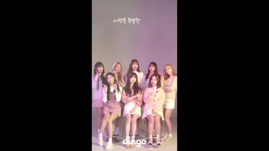 170227 | Lovelyz - WoW | Dingo Music