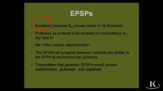 Physio_Fischer_Sec02_Ch02e_SynapsesBetwNeurons