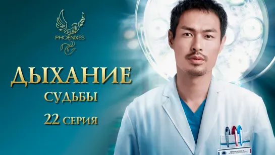 [FSG Phoenixes] Дыхание судьбы - 22_40 [субтитры]