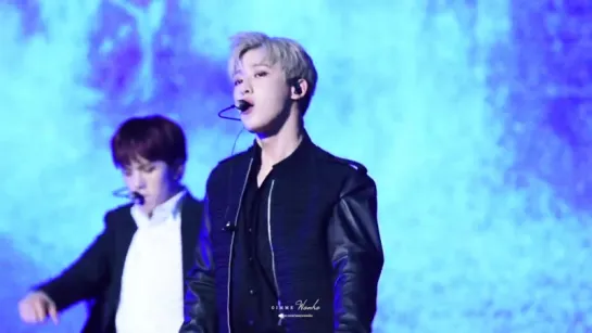 [Fancam][22.04.2017] MONSTA X - Trespass (Wonho Focus) @  Let's Play Concert