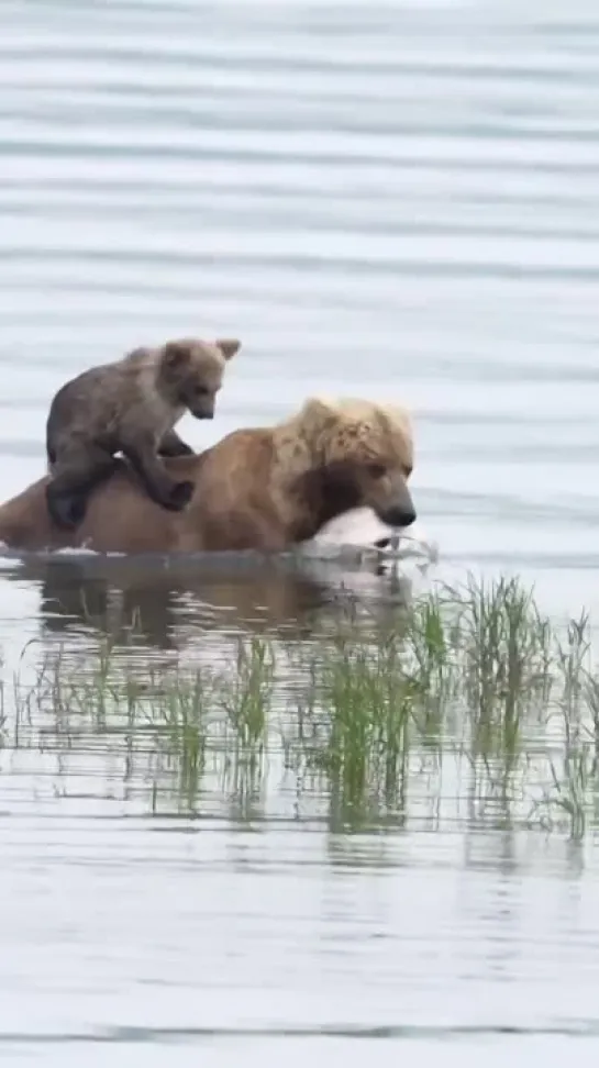 Видео от Взгляни на мир | путешествия, арт, фото, туризм