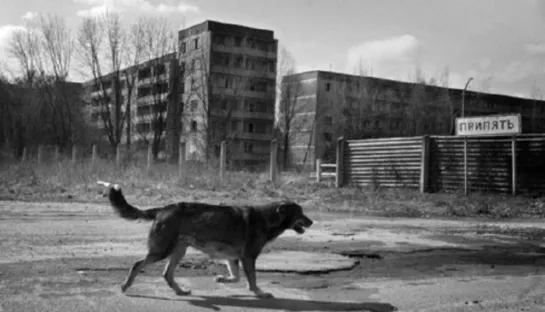 Припять / Pripyat - 1999