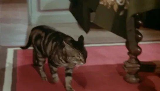 Кот / Le chat (1971) Пьер Гранье-Дефевр