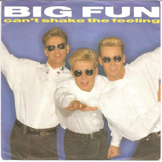 Big Fun - Can't Shake The Feeling (1989)