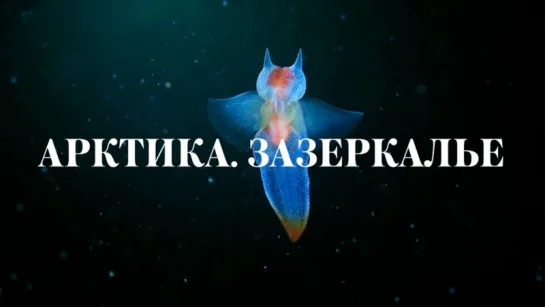 Арктика. Зазеркалье (телеканал «Моя планета) [2017, HDTVRip]