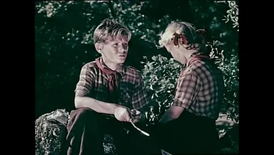 Дети партизана (1954)