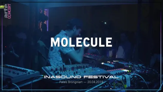 Molecule beim Festival INASOUND (Paris, 2019)