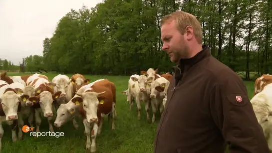 Wolf_im_Fadenkreuz_ZDFreportage