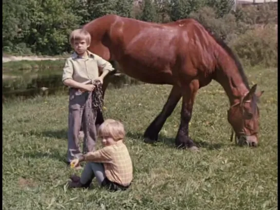 Хомут для Маркиза. (1977г.).