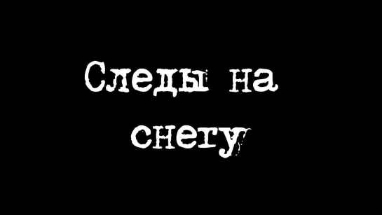 Следы на снегу. (2014г.).