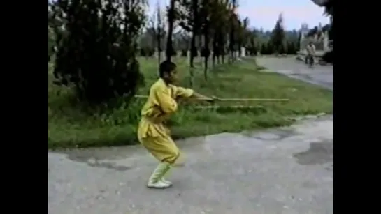 Шест. Shaolin kung fu 24 methods of missing spear staff.