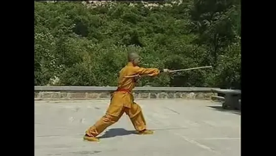 Shaolin kung fu apesmonkeys stick 1.