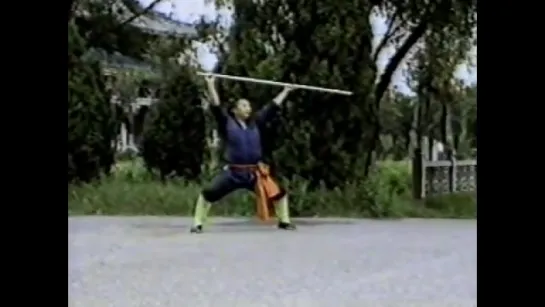 Shaolin kung fu apesmonkeys stick.