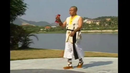 Шаолиньская девятизвенная цепь. (Shaolin Nine Section Whip).