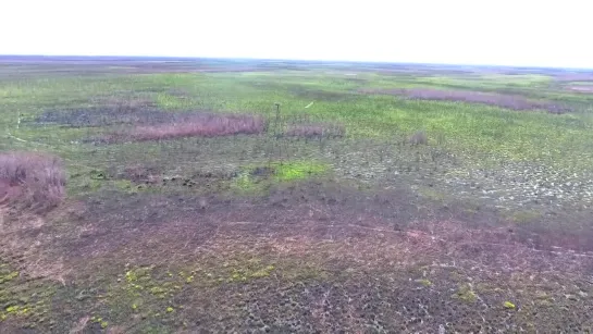 Планета тайга. Болоньский заповедник.