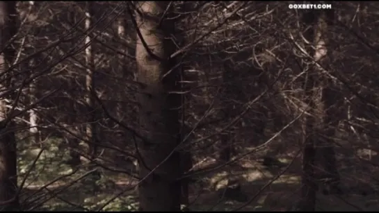 За лесами / Beyond the Woods (2018)