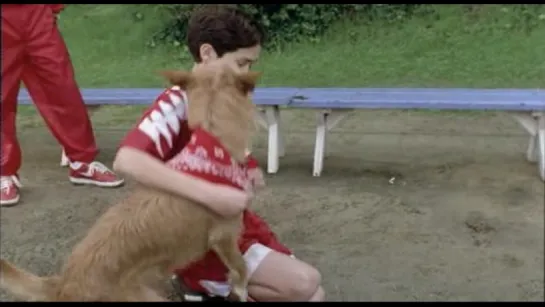 Король футбола / Soccer dog (1999)