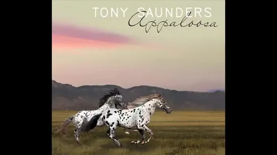 (2014) Tony Saunders - Appaloosa