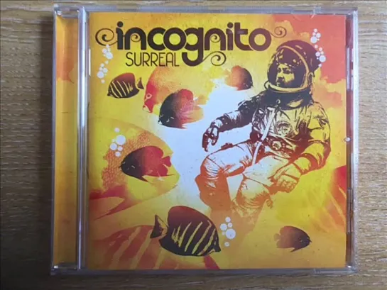 Incognito Feat Natalie Williams  -  Above The Night