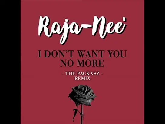 Raja-Nee  -  I Dont Want You No More (The Packxsz Remix)