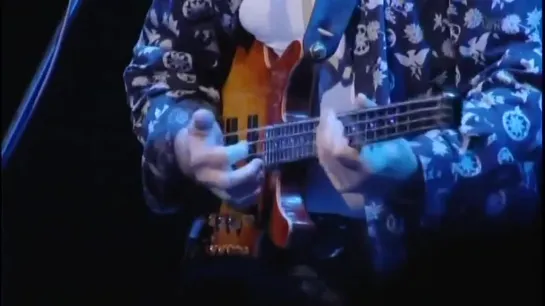 Level 42 - Bass Solo  Love Games - Billboard Live Tokyo - 2011