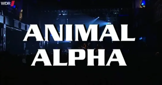 Animal Alpha - Rockpalast 2006