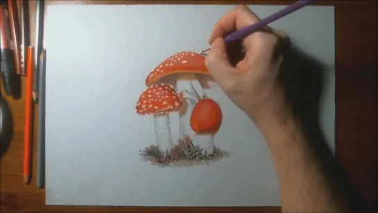 How to Draw Mushroom Realistic Drawing.