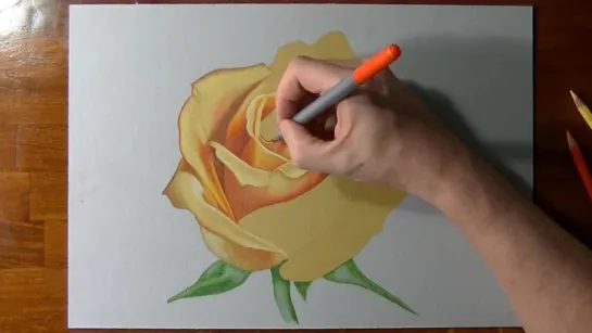 How I Draw a Yellow Rose.