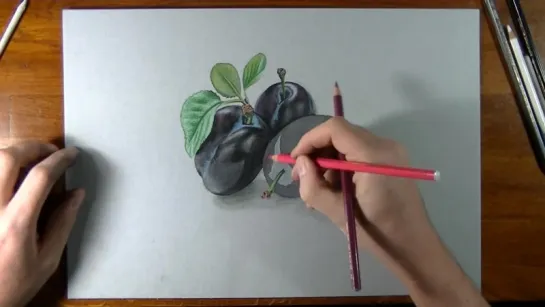 Drawing Time Lapse Plums.