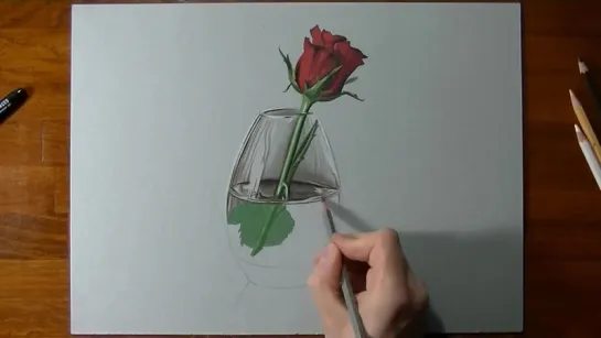 Red rose in a glass vase.