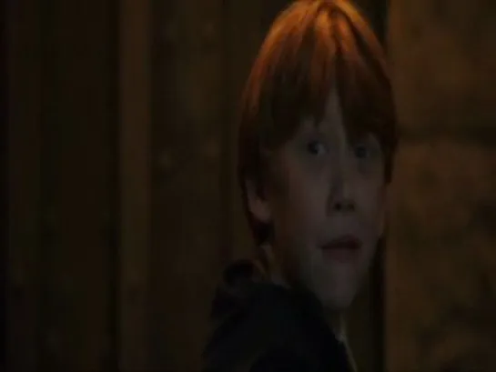 Harry,Ron and Hermione-Для друзей.