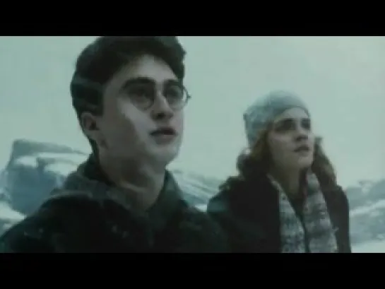 The Golden Trio - Harry Potter Series (My best friend)