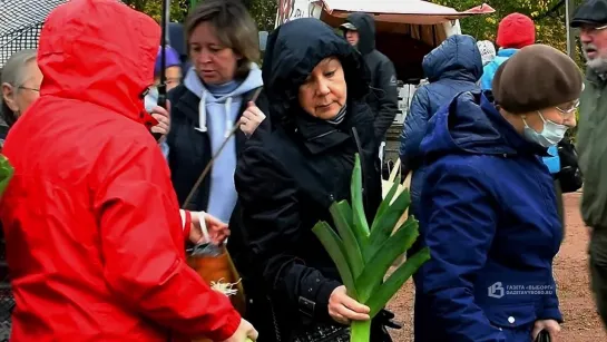 "Человек на земле". Итоги проекта года