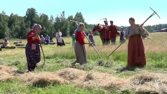 "Ферма радости". "Фермафест на сенокосе"