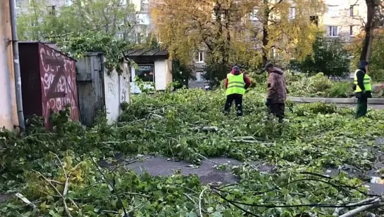 Видео от Выборг. Новости | Газета Выборг