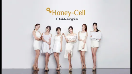 [CF] T-ARA - Honey Cell by ART BEAUTE