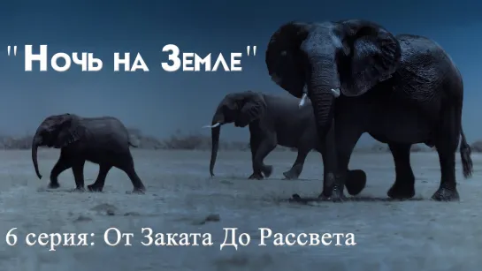 "Ночь на Земле" - 6 серия: От Заката До Рассвета. Русс. суб.