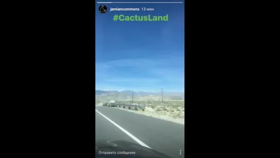 Jamie & CactusLand