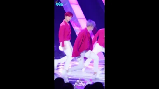 180519 SNUPER (Sebin Focused) - Tulips @ Music Core