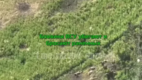 🇺🇦 ️La masacre en el frente #Kupyansky: el ejército ruso destruye unidades de las Fuerzas Armadas de Ucrania