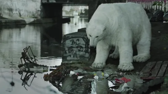 A Homeless Polar Bear in London - Ft. Jude Law and Radiohead