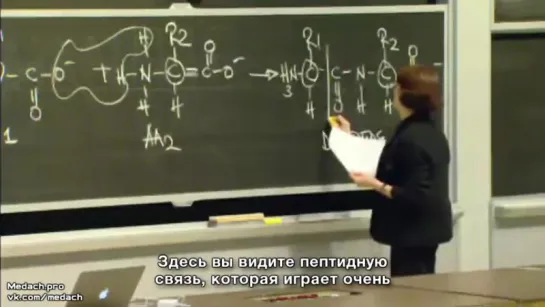 MIT Lecture Белки часть 1 - 480p (1)