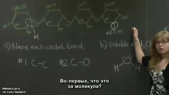 MIT Lecture ковалентные и водородные связи кратко