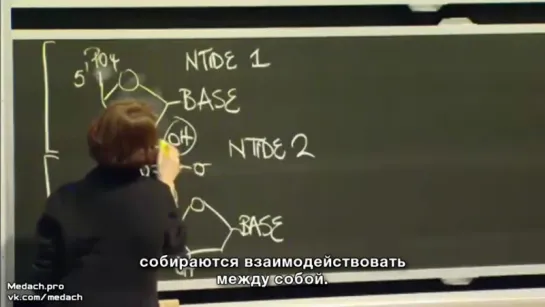 MIT Lecture макромолекулы часть 2