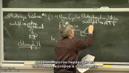 MIT Lecture фотосинтез