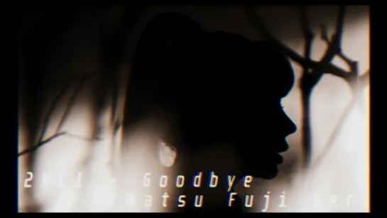 2NE1 - Goodbye (Natsu Fuji Remix)