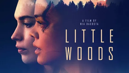 Лесок (Little Woods) (2018)