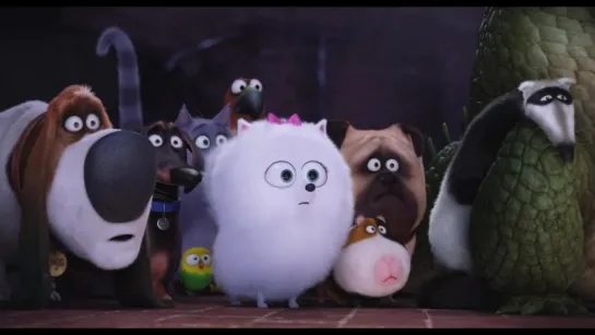 The Secret Life Of Pets - Trailer #3 (HD) - Illumination