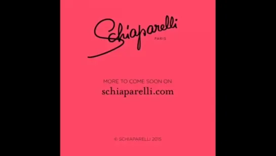 Schiaparelli official